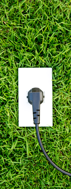 Популярные товары